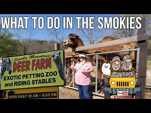 Smoky Mountain Deer Farm And Exotic Petting Zoo Review Sevierville TN 2021 Horseback Riding
