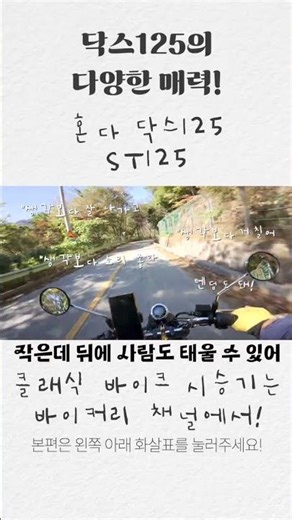 귀여운 혼다 닥스125의 다양한 매력! 말 그대로 실용적인 펀 바이크! #shorts