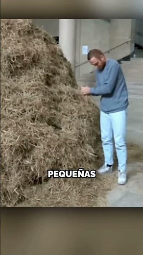 How to Find a Needle in a Haystack