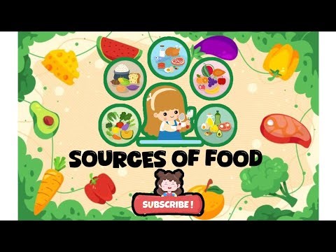 "Sources of Food | Food Sources Explained in Simple Way 🌱 | Study Tips "#Sources of Food#yt #biology