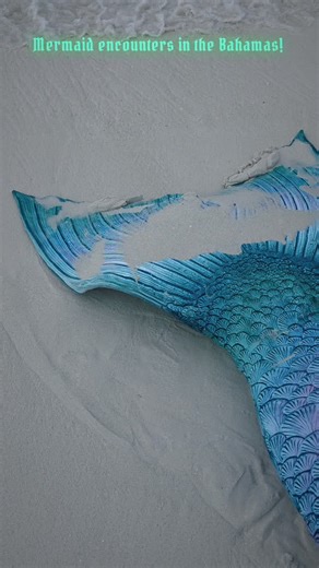 Tide and Tempest on Instagram: "We took a trip to warmer waters and made some new friends along the way! #mermaidlife #mermaidmagic #bahamas #beach #swimming"