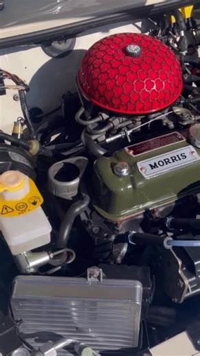 ミニ専門店 クラフトハウス on Instagram: "K様ホワイトAT、納車整備。 エンジンルーム整いました！ ECUもピカピカです。 . #MINI #rovermini #minicooper #classicmini #ミニ #ローバーミニ #ミニクーパー #クラシックミニ #クラフトハウス京都 #crafthousekyoto #K様ホワイトAT納車整備 #健康なミニ #ヘルシーなミニ"