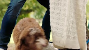 Mr. Pawsitively Perfect (TV Movie 2023)