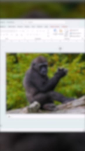 PowerPoint 🤝 Video Editor