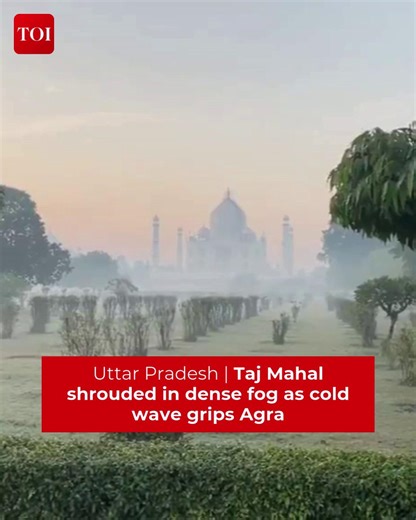 #Agra | #TajMahal covered in fog as the cold wave continues. #IMD forecasts the minimum temperature at 11° C. Watch #UttarPradesh #UPNews #AgraNews #winter #coldwave | The Times of India
