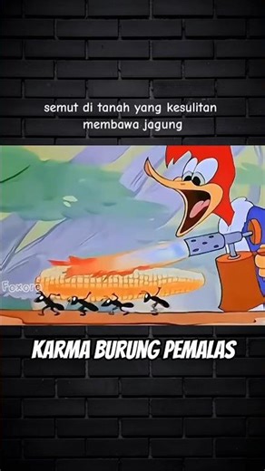 A lazy bird who likes to live on a whim🦜😰 #shortviral