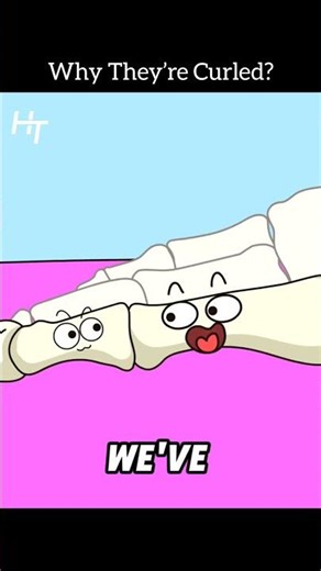 Why You Can’t Straighten Your Toes (And How to Fix It!) #shorts