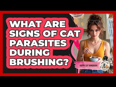 What Are Signs Of Cat Parasites During Brushing?