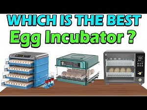 TOP 5 Best Egg Incubators 2026 - Automatic Hatching Machines Review