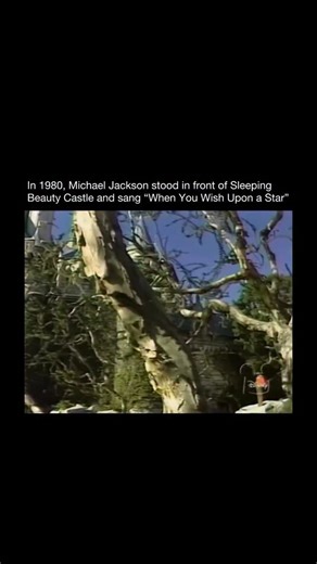 Songs That Should Not Work | In 1980, Michael Jackson stood in front of Sleeping Beauty Castle and sang “When You Wish Upon a Star”—a moment that still feels unreal... | Instagram