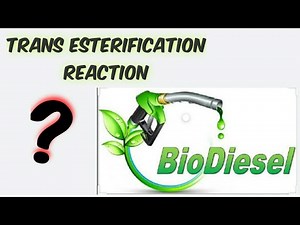 Biodiesel|Trans Esterification Reaction