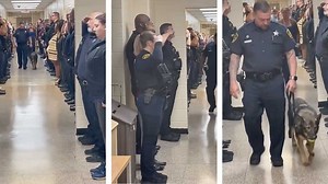 Perro policía con cáncer terminal recibe su último saludo de todo su equipo, te romperá el corazón - UnoTV