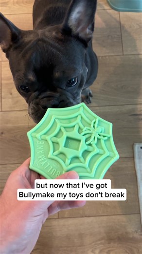135K views · 15 shares | Your dog keeps destroying toys. You keep replacing them. Your wallet keeps crying. Here’s the fix: Tough toys, built for power chewers, delivered monthly. Try your first Bullymake Box for just $19. We guarantee: these toys last. ✅ Built for aggressive chewers ✅ Safe, fun, and seriously tough ✅ Only $19 to start - limited time only Stop wasting money. Start solving the problem. Your dog deserves better toys. You deserve better value. | BULLYMAKE | Facebook