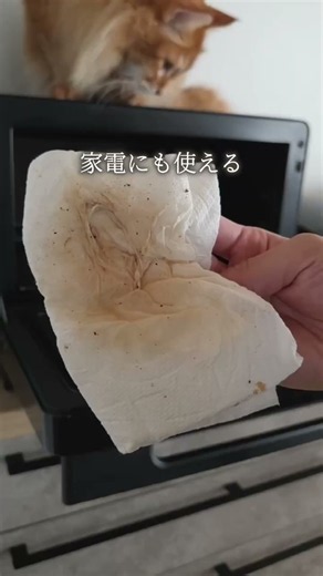「この汚れ、何使う？」がなくなる！掃除洗剤の基本4選🧼