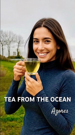 Tea from the Ocean 🍵 🌊Azores Tea Plantation, São Miguel