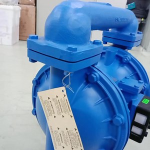Sandpiper Pump with Ptfe Diaphragm Applicable to Sandpiper Pneumatic Diaphragm Pump