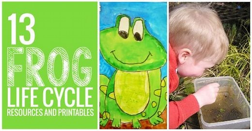 13 Frog Life Cycle Resources and Printables - Teach Junkie