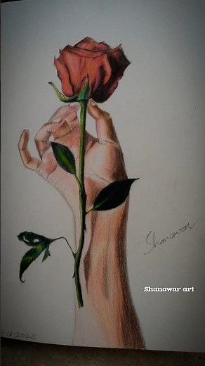 realistic drawing with pencil color |how to use pencil color