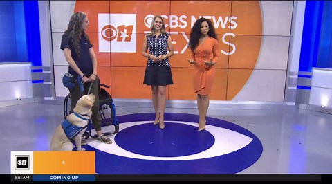 Lonestar learns more advanced skills, taking off shoes, opening doors