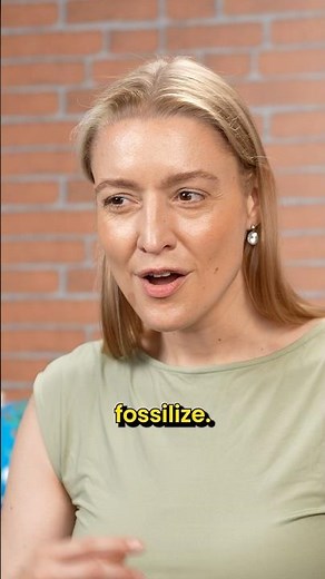 When Humans First Started Talking #history #language #languagelearning #science #viralshorts