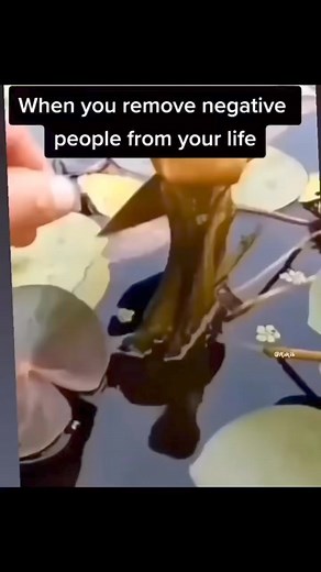 10K views · 302 reactions | The Quantum Key to Abundance on Reels | Facebook