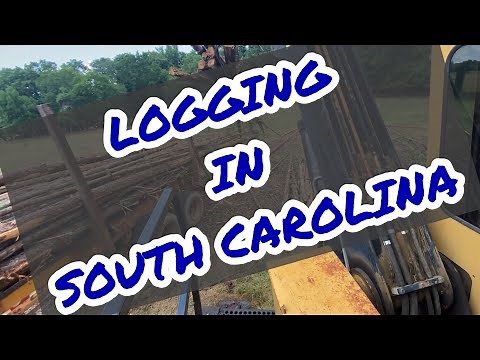 We’re Logging in South Carolina