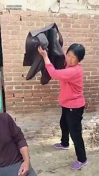 Are you rebelling! #Unexpected #FunnyVideo ##Look at it and laugh at it 1