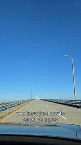 There goes #music #lyricsvideo #lyrics #musicvideo | Music and Memories