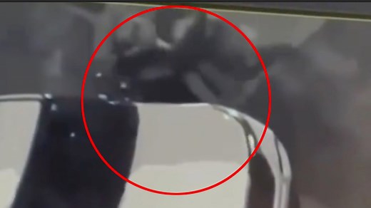 Watch as female Secret Service officers are fighting outside Obama’s home