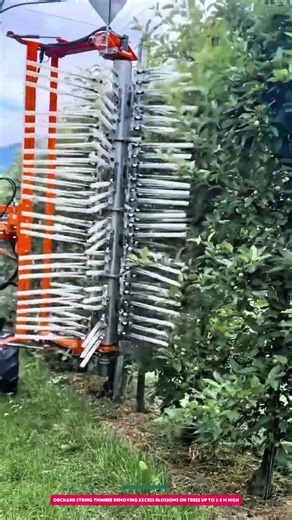 Orchard String Thinner Removing Excess Blossoms on Trees Up to 3.5 m High