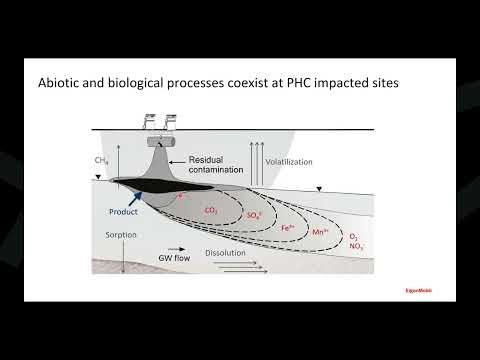 Improving the Impact of Molecular Biology Data for Groundwater Remediation