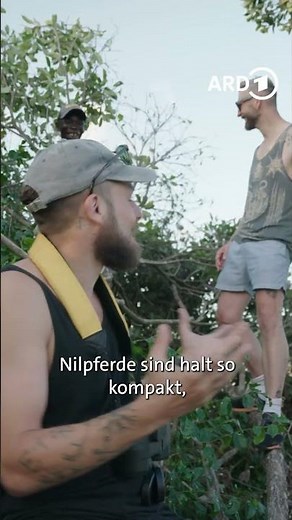 😱🦛 Der Hippo-Flüsterer von Mafia Island | ARD Reisen #wildlife #africa #adventure