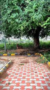 Manjesh Tamte on Reels