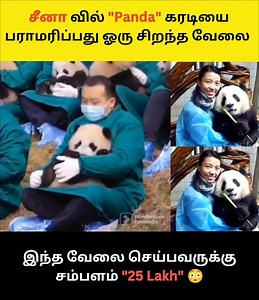 Panda Caretaker 🐼 | Fun Drop