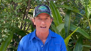 55K views · 622 reactions | Come on in, Survivor fans. Jeff Probst has some important news. | CBS | Facebook