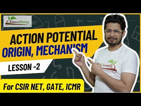 Action potential physiology | Generation of action potential | Action potential mechanism