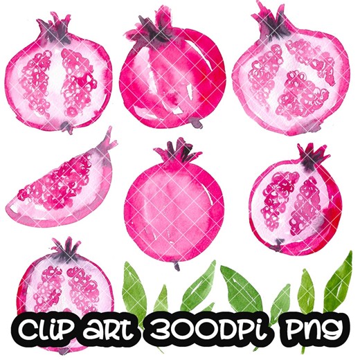 Pomegranate Watercolor Digital Clip Art Clipart, Instant Download PNG - Etsy