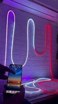 Smart RGBIC Neon Flex LED Strip Lights | Multicolor Chasing Dream Color IP67 Waterproof