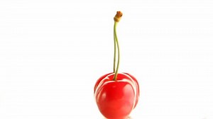 Cherry Rotates On White Background Stock Footage Video (100% Royalty-free) 796897 | Shutterstock
