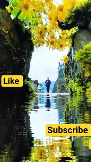 "Beautiful Photography Capturing Stunning Views” #AmazingViews#NaturePhotography#BestPhotographer