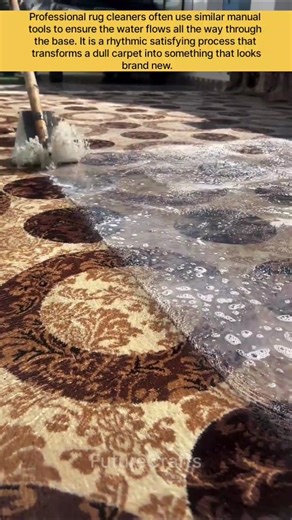 Deep Cleaning a Patterned Carpet