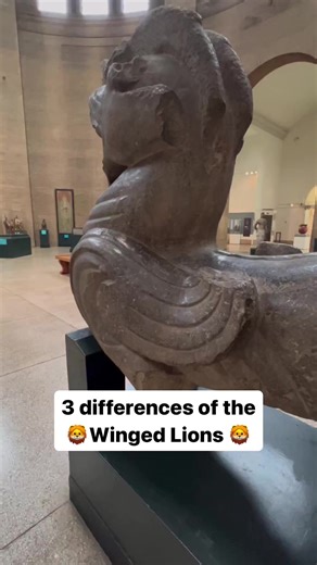 2K views · 49 reactions | 女On #WorldLionDay, we are looking at the...