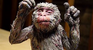 732K views · 7K shares | This Japanese artist creates life-size animals from thin rolls of newspaper. | Insider Tech | Facebook