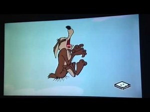 Wile E Coyote Howling