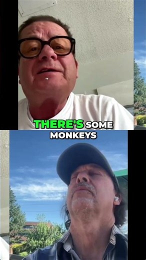 UFO Crash: Alien Bodies Found, Not Monkeys! #shorts