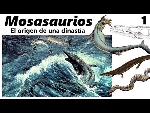 Mosasaurios. ¿Qué son y cuándo aparecieron? Parte 1