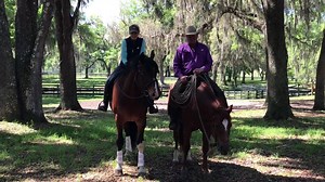 2019 Parelli Inspiration Tour is coming to Perry, GA ithis weekend!!! Watch the video to see what's in store for this fun-filled, educational, and Inspirational weekend! Pat and Linda are very excited to be back on tour and can't wait to see you all! By a show of hand's, who will be there? :) | Parelli Natural Horsemanship