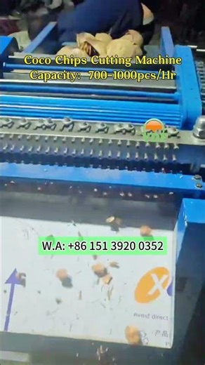 COCO CHIPS CUTTING MACHINE 1000PCS PER HOUR#agriculture #coconut #cocochips