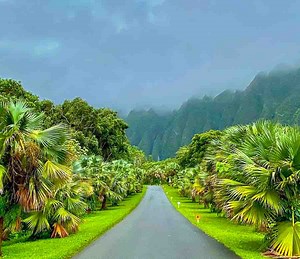 Ho’omaluhia Botanical Garden - This Hawaii Life