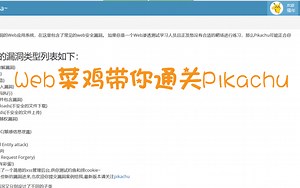 [靶场]Web菜鸡带你通关piakchu-[安装与暴力破解漏洞详解]